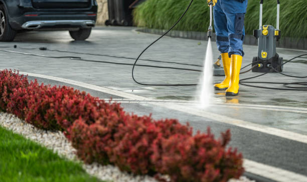 Best Driveway Pressure Washing  in Eureka Mill, SC